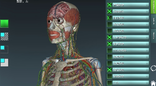 人体解剖学图集宣传图