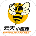 云天小蜜蜂